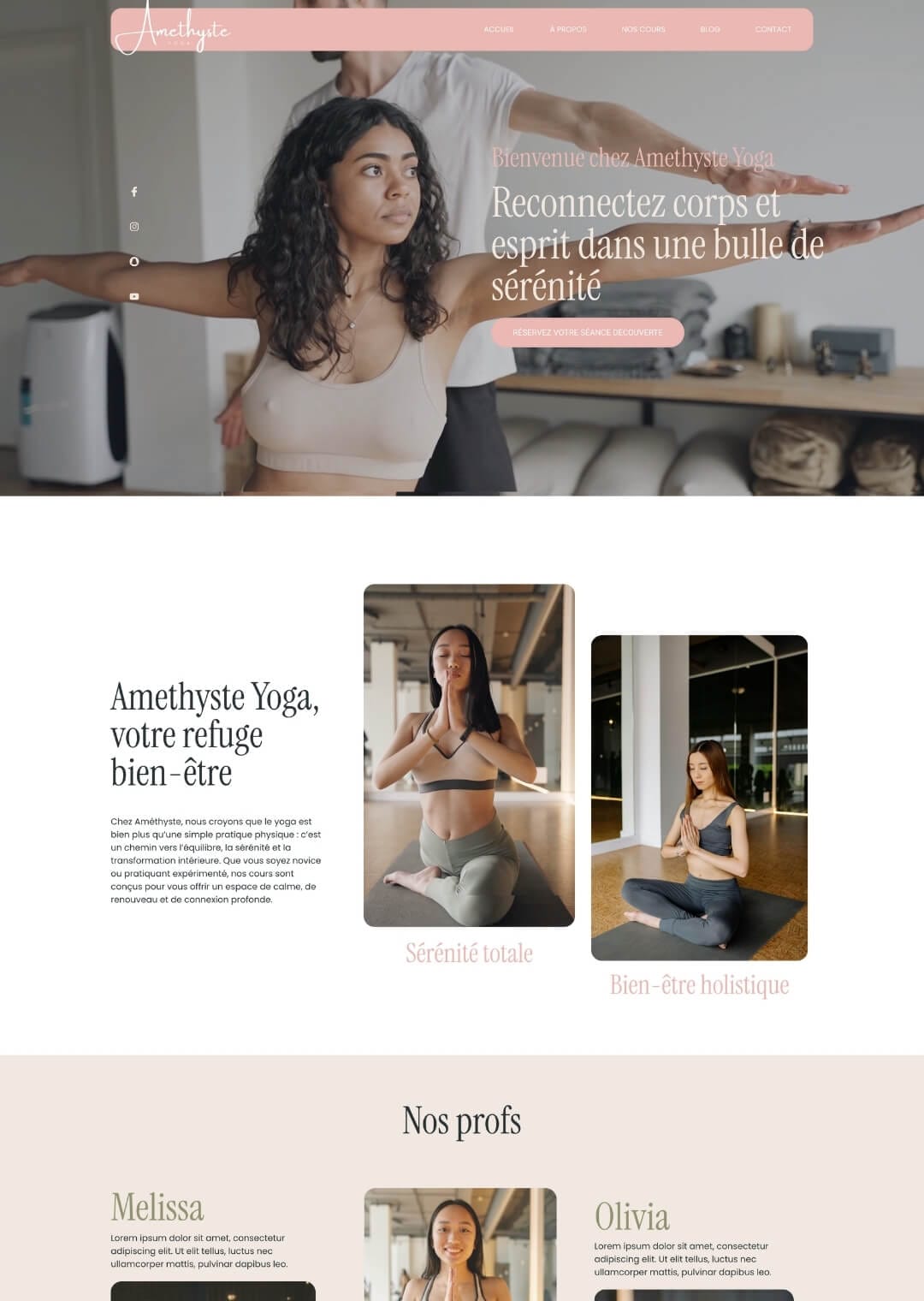 template-wordpress-amethyste (1)