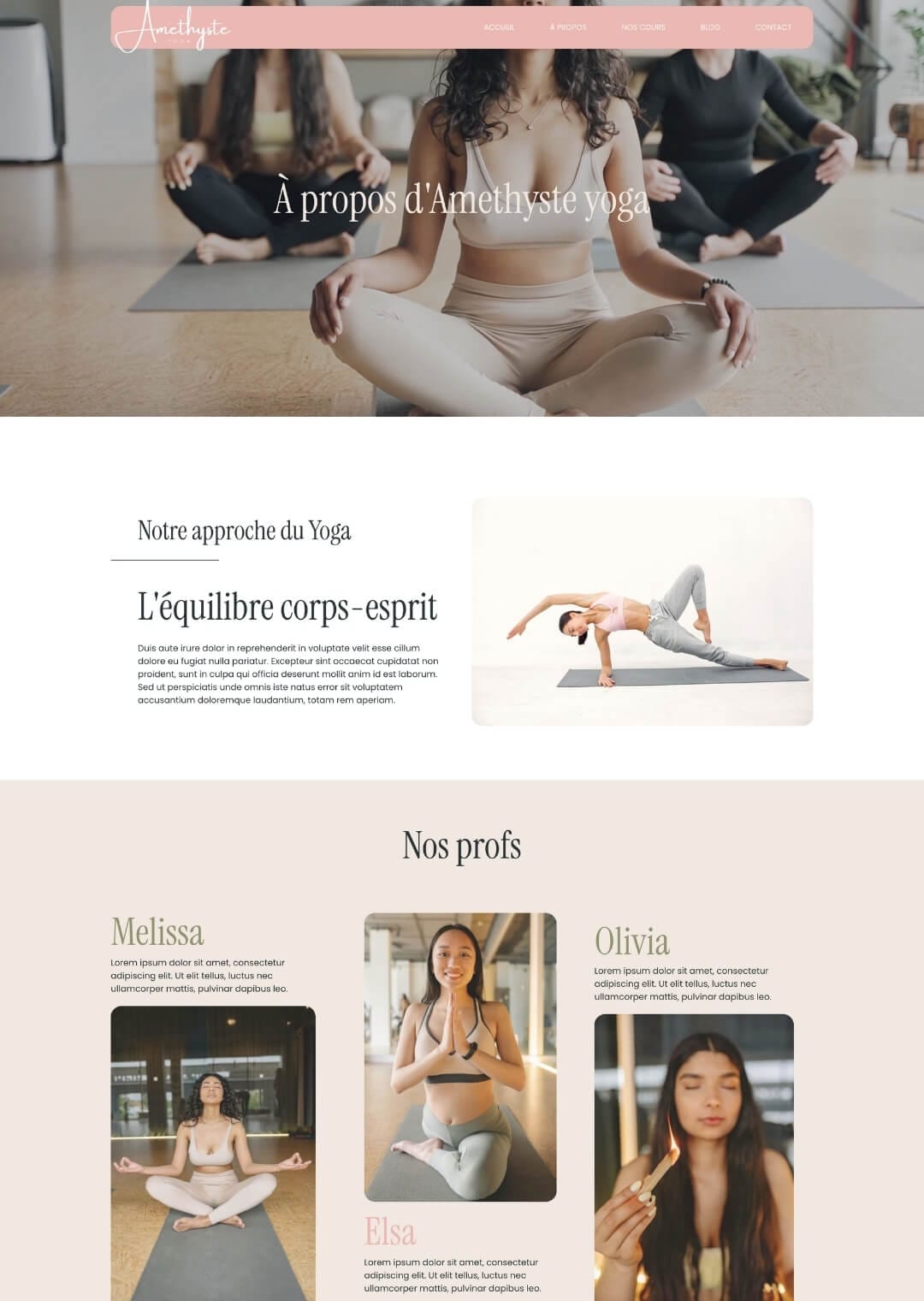 template-wordpress-amethyste-accueil