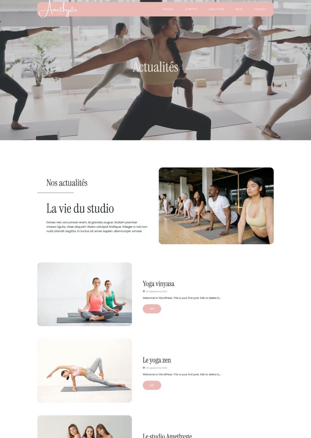 template-wordpress-amethyste-blog