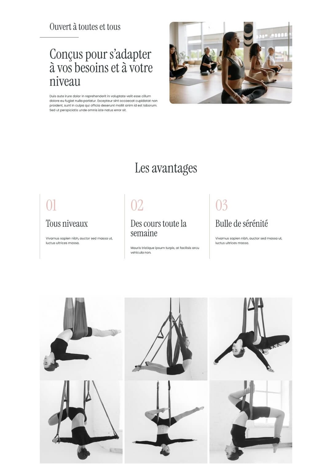 template-wordpress-amethyste-cours